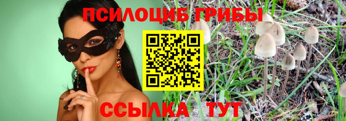 Галлюциногенные грибы GOLDEN TEACHER Новодвинск