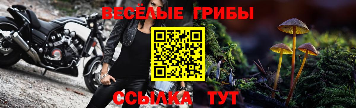 Новодвинск  Псилоцибиновые грибы Magic Shrooms  Вход с VPN  Галлюциногенные грибы мухоморы 